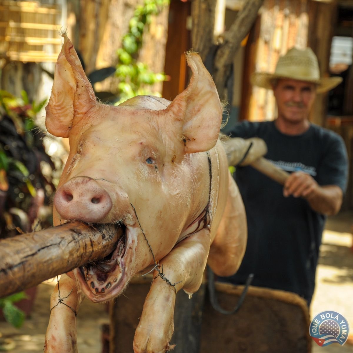 Cerdo asado a la púa