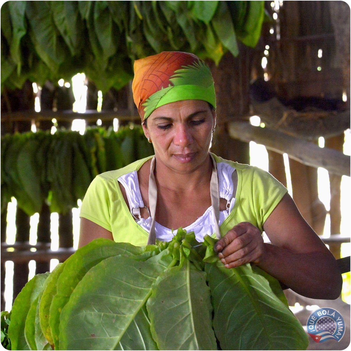 Las mujeres cubanas son luchadoras